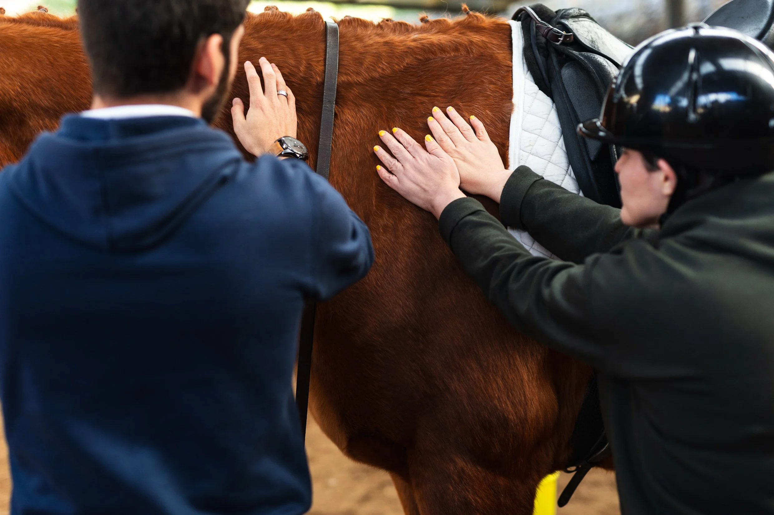 Horse Therapy Portugal