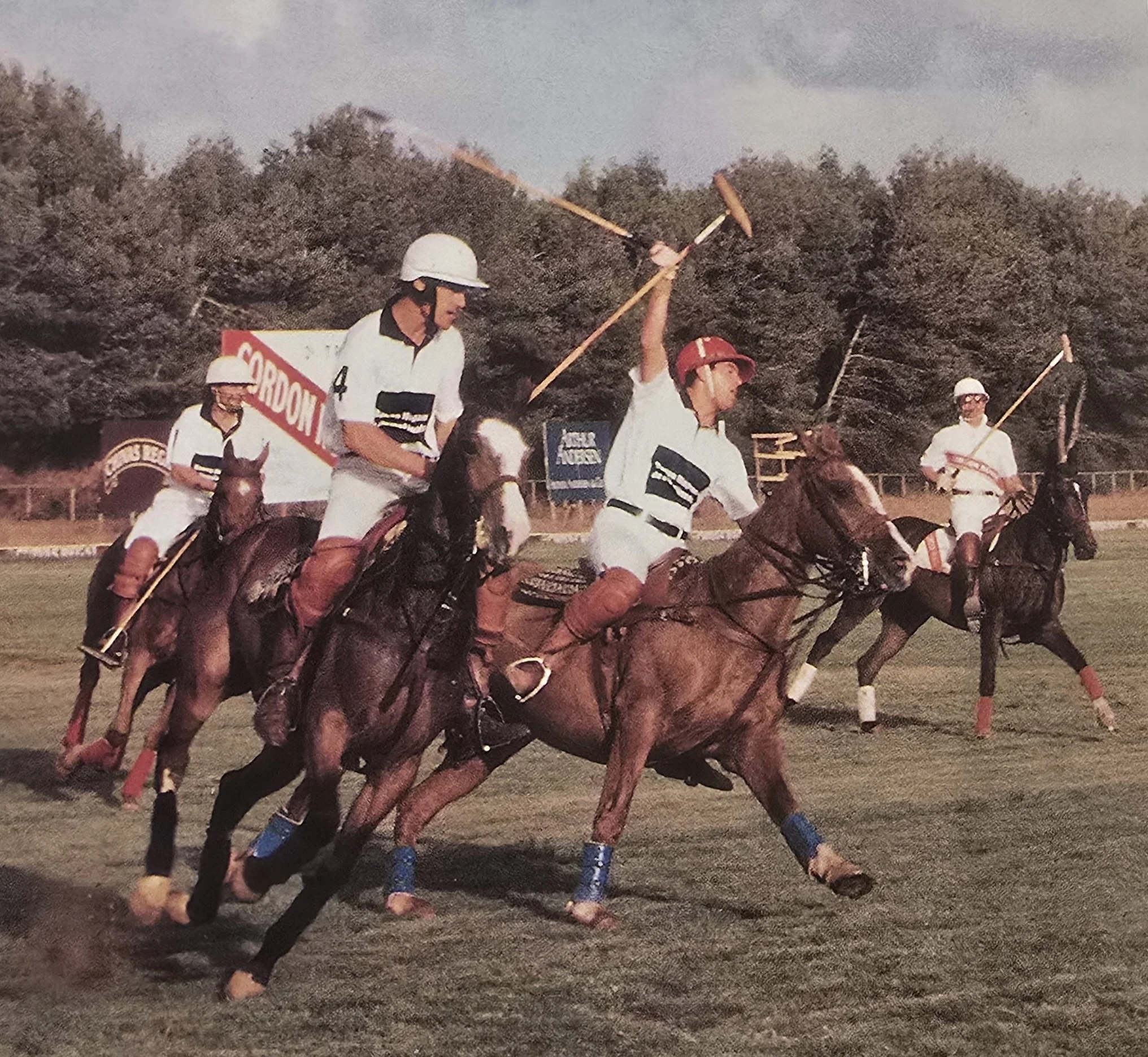Polo Quinta da Marinha