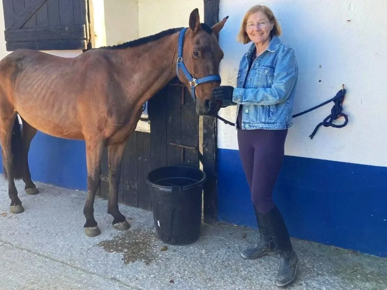 A woman in a denim jacket and black riding boots standing next to a brown horse, holding its head, inside a stable with a window and a blue and white wall.