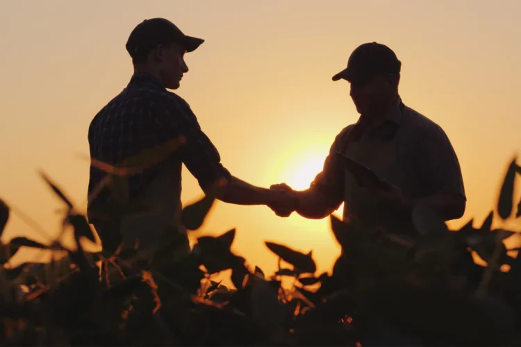 Community Capacity Building