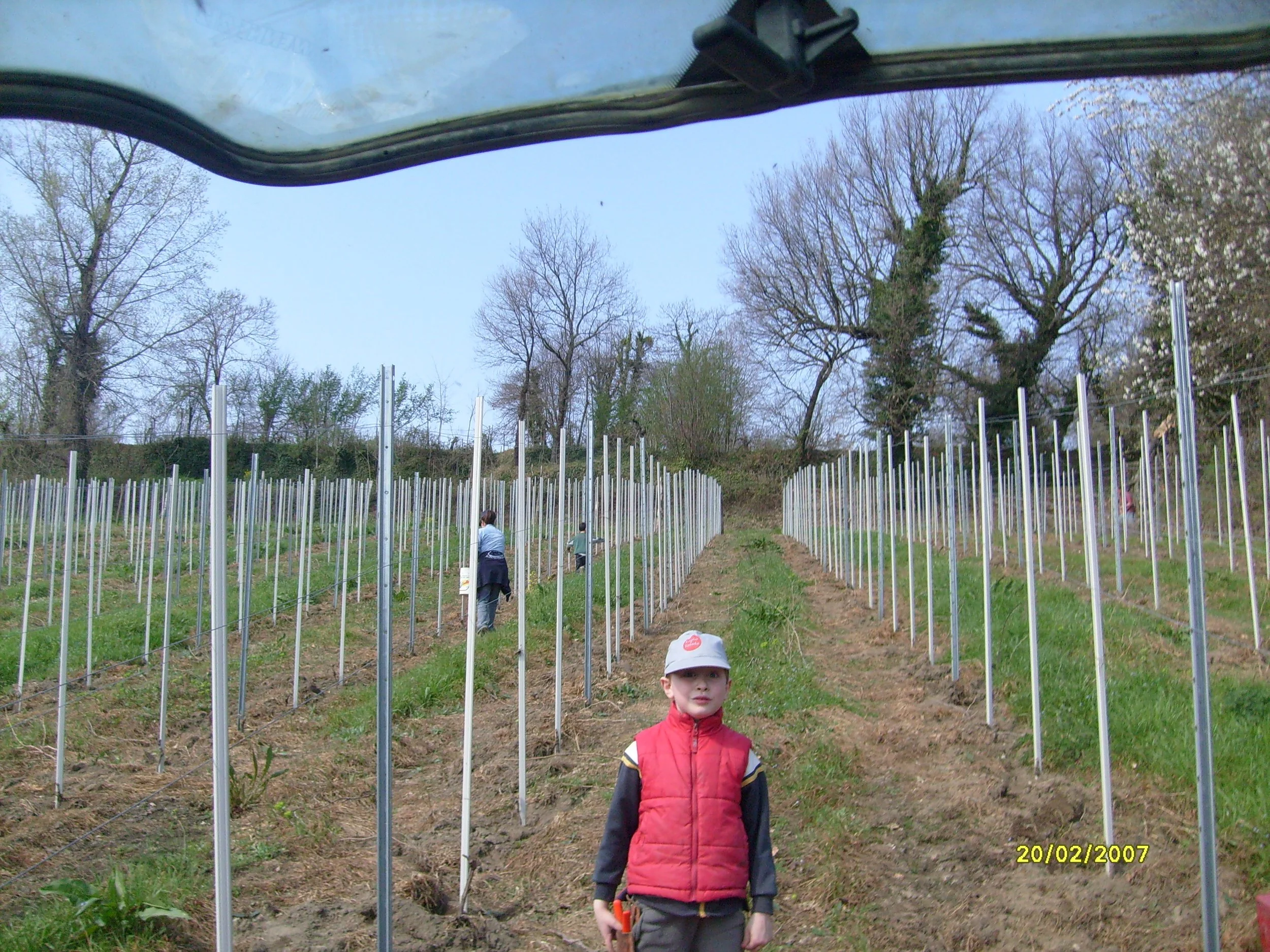 Bambino vestito con giacca rossa e cappellino bianco in un frutteto con paletti per vigneti, con altri bambini e adulti in lontananza e alberi senza foglie sullo sfondo.