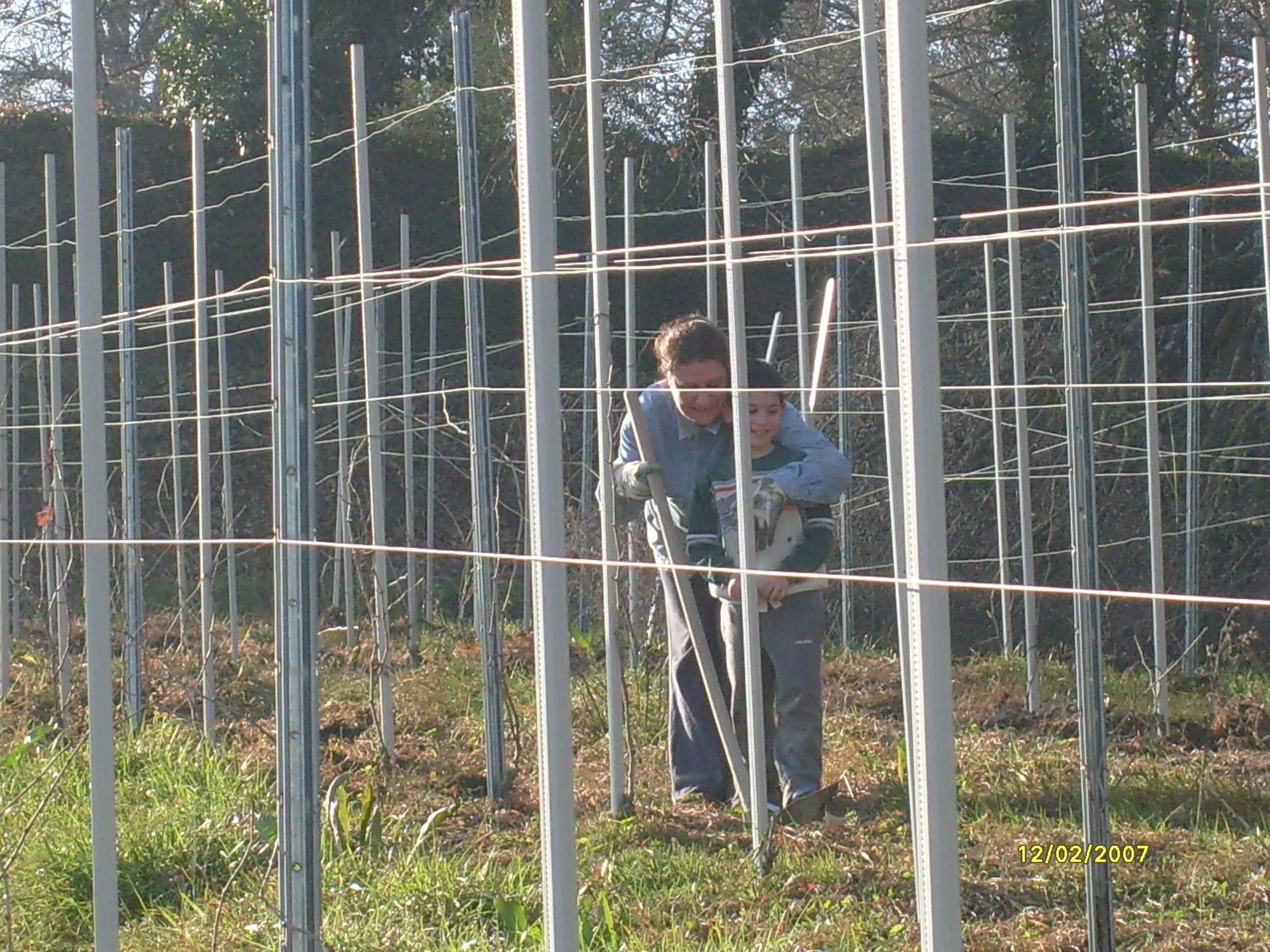 Due persone, un adulto e un bambino, lavorano in una vigna con pali metallici e fili di recinzione, sorridendo e abbracciandosi.
