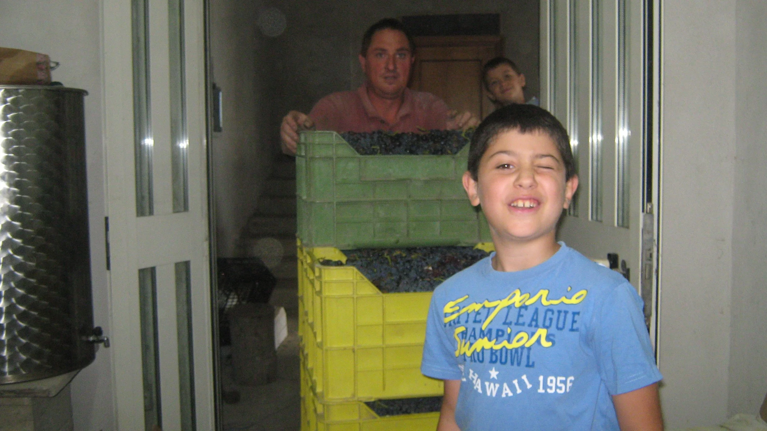 Un bambino sorridente con un'occhiata da scherzo davanti a contenitori di uva presso una cantina o un'azienda vinicola, con due adulti in secondo piano che gonfiano e ispezionano ulteriori grappoli d'uva.