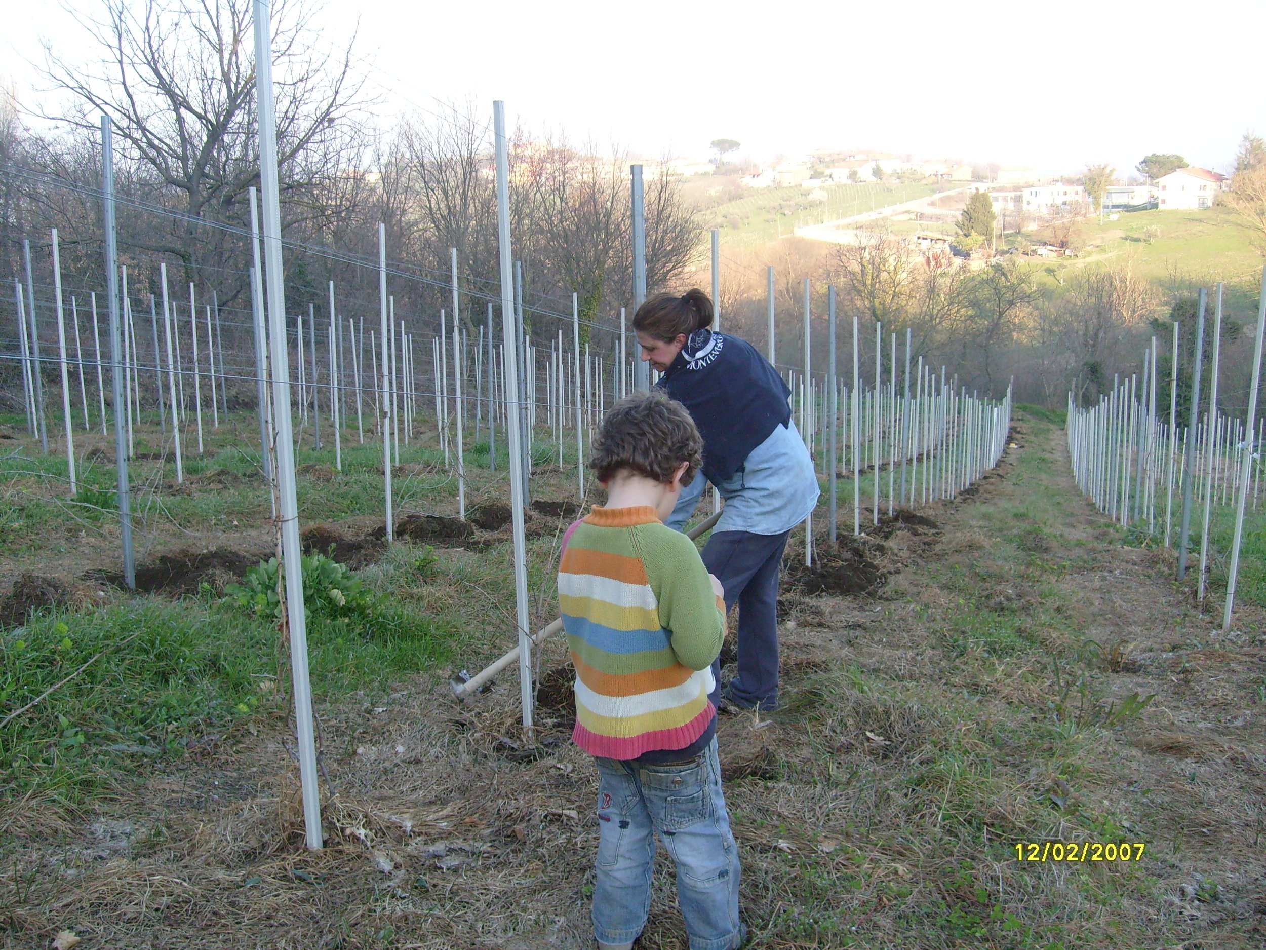Un adulto e un bambino piantano viti in una vigna su un terreno collinare con case e alberi sullo sfondo.