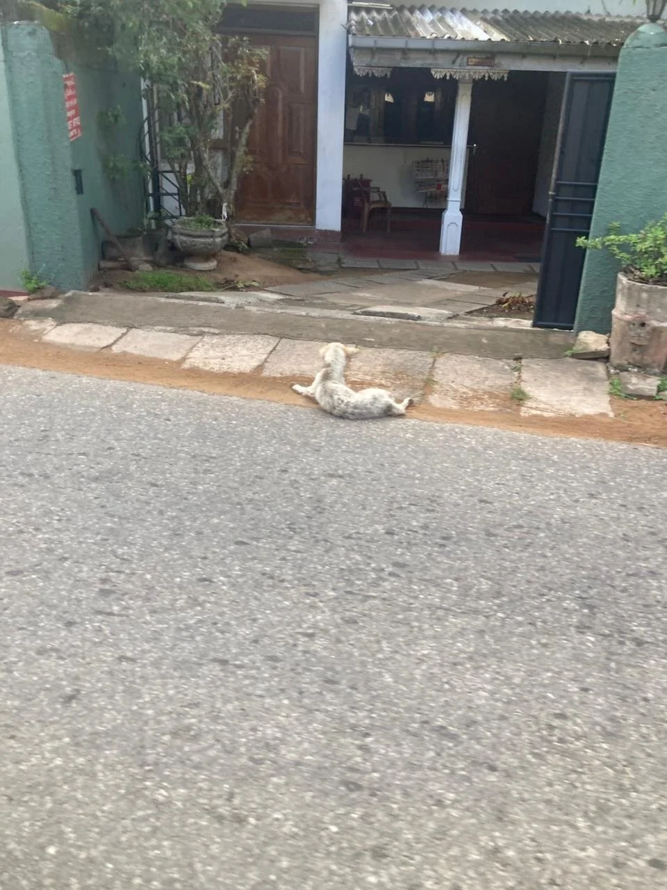 WhatsApp Image 2026-03-28 at 13.14.28 (5).jpeg