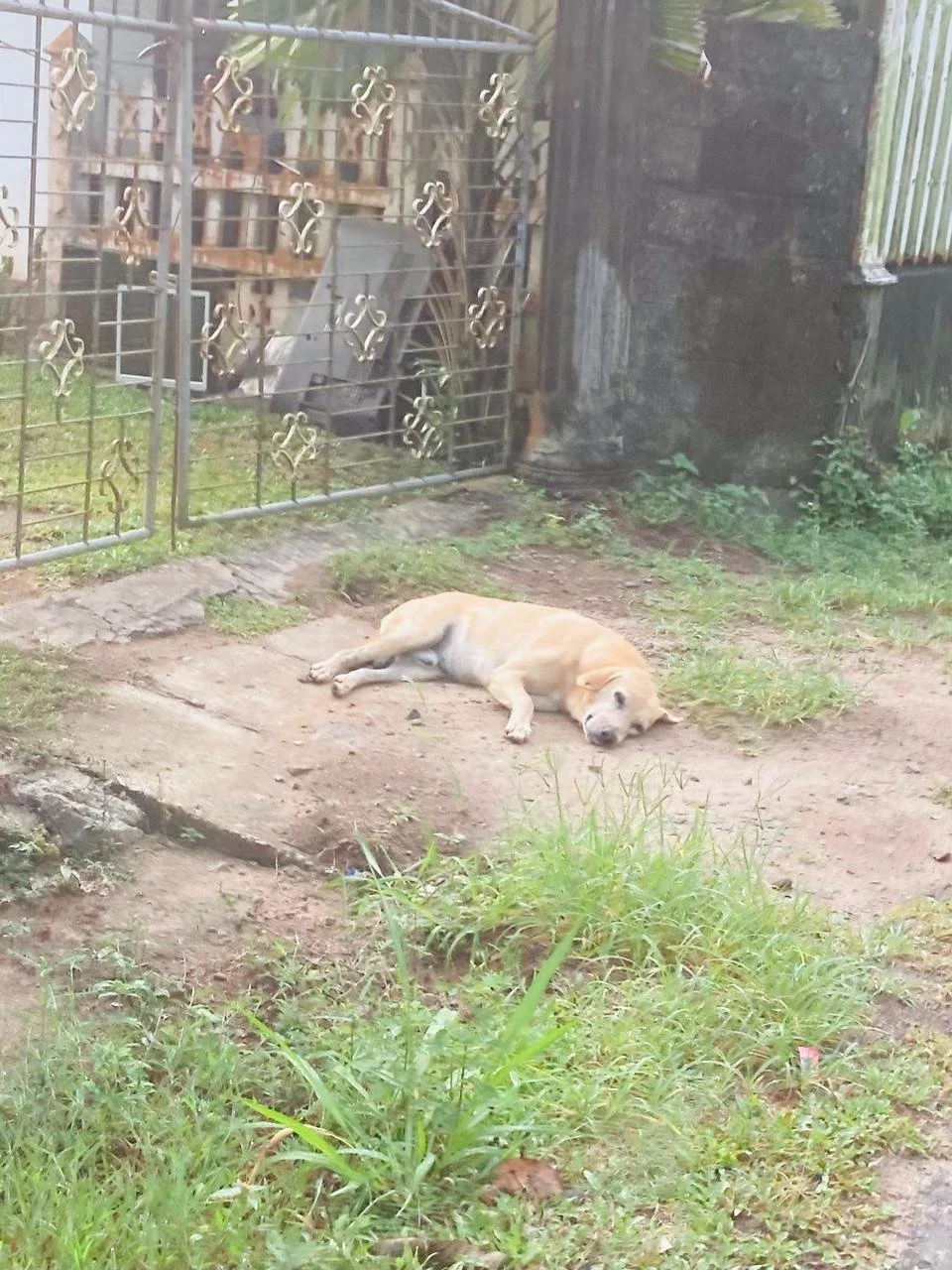 WhatsApp Image 2026-03-28 at 13.14.27 (3).jpeg