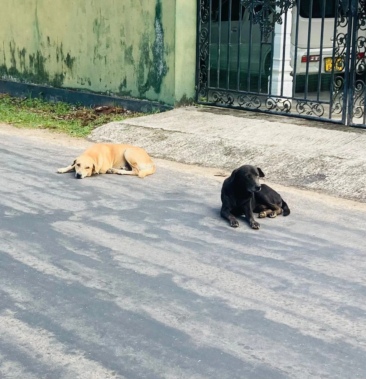 WhatsApp Image 2026-03-28 at 13.14.27 (4).jpeg