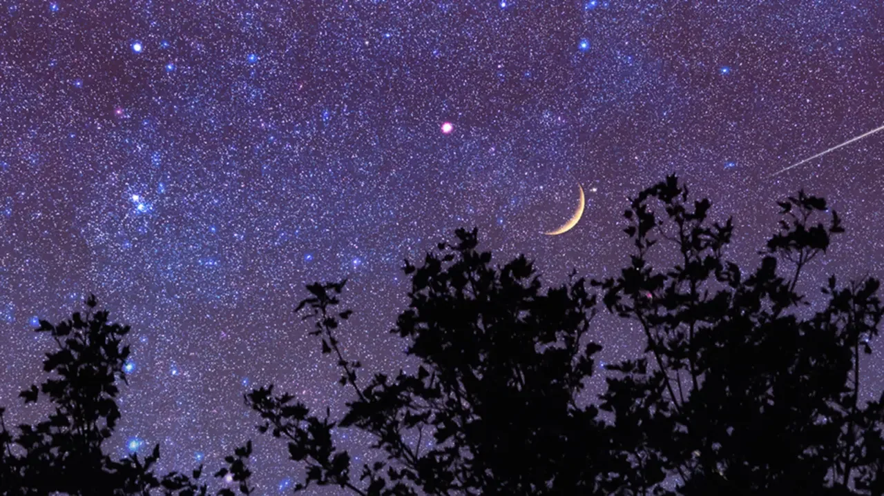 Night sky filled with stars, crescent moon, streaking meteor, and tree silhouettes in the foreground