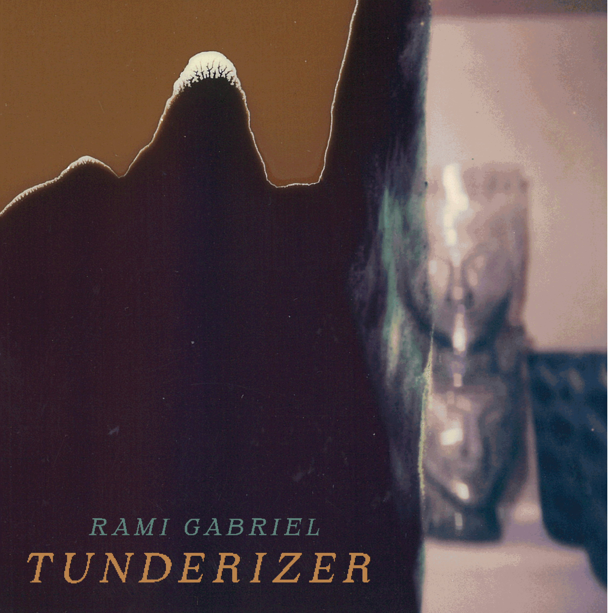 Album cover titled 'Tunderizer' by Rami Gabriel, from Sooper Records (2026), featuring polaroid images.