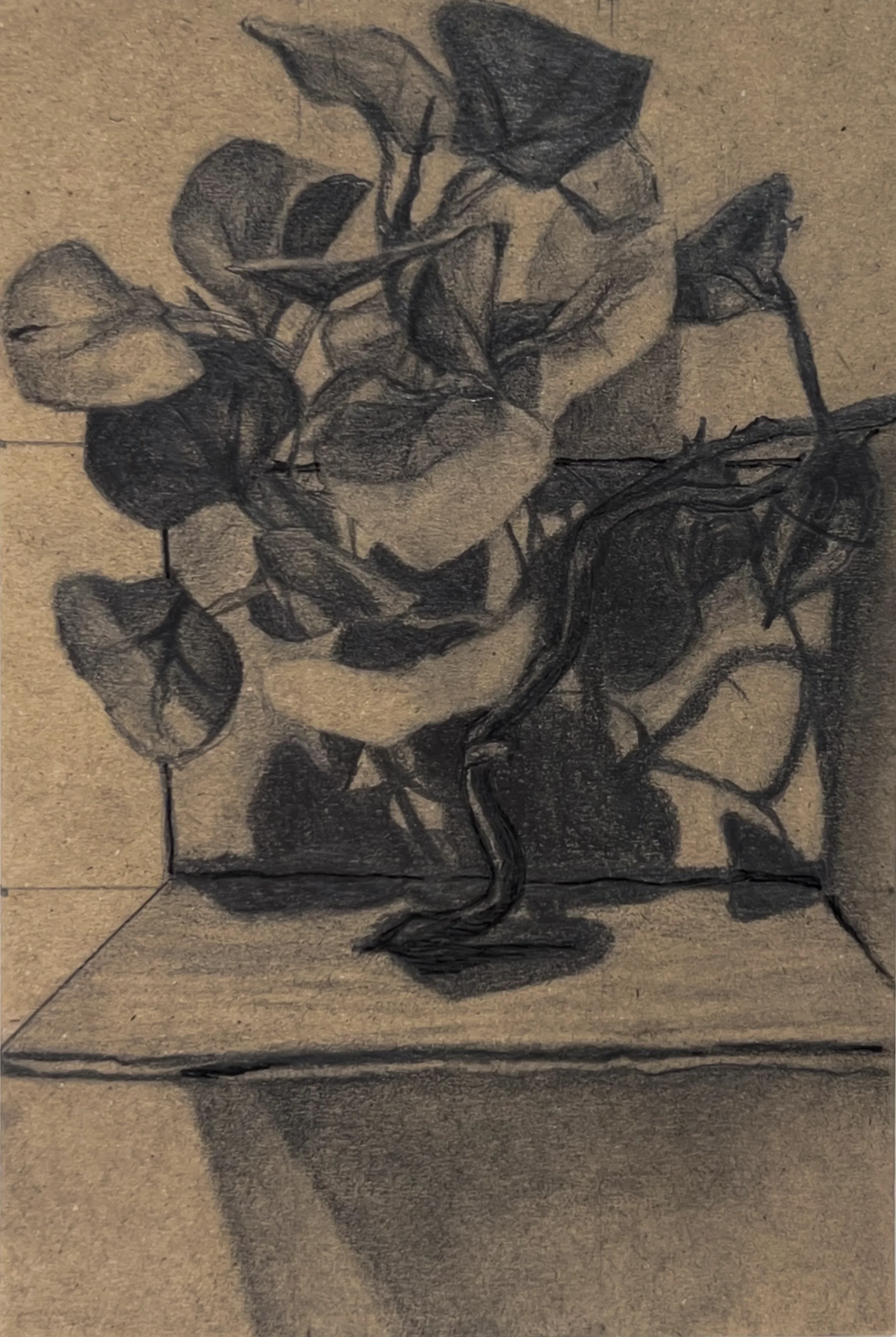 Small Still Life, 2025, graphite and ink on cardstock, 7 x 5 in.