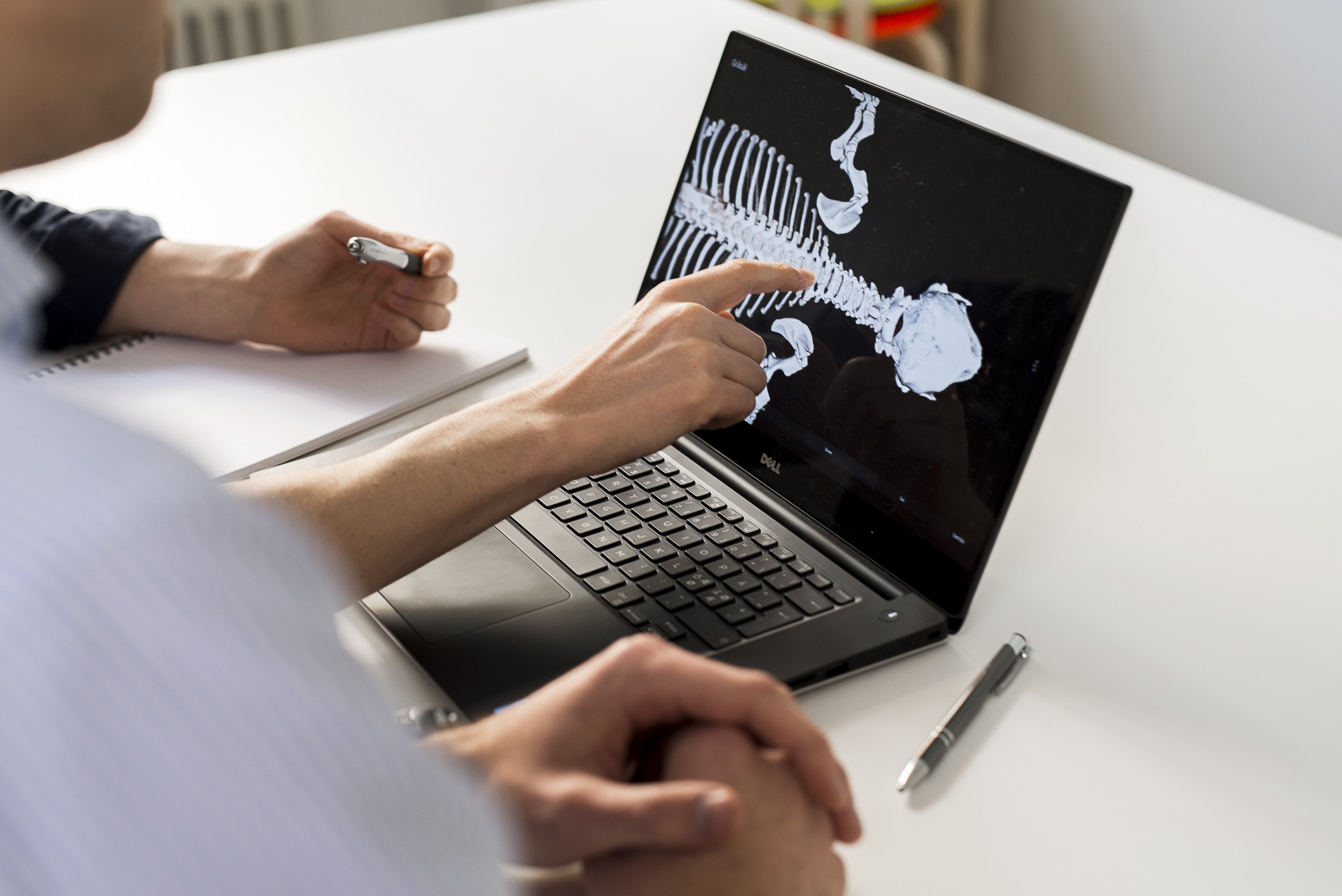 Person pointing at a medical X-ray of a skeleton on a laptop screen, with a pen on a notebook nearby on white table.