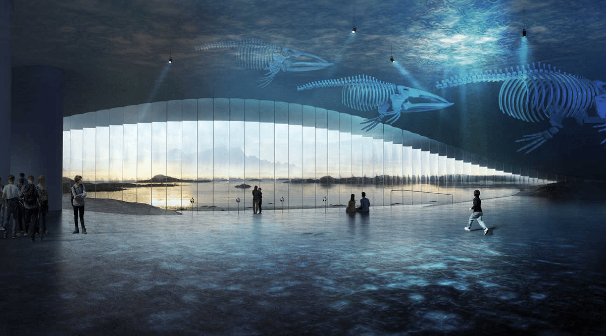 the-whale-dorte-mandrup-7.png