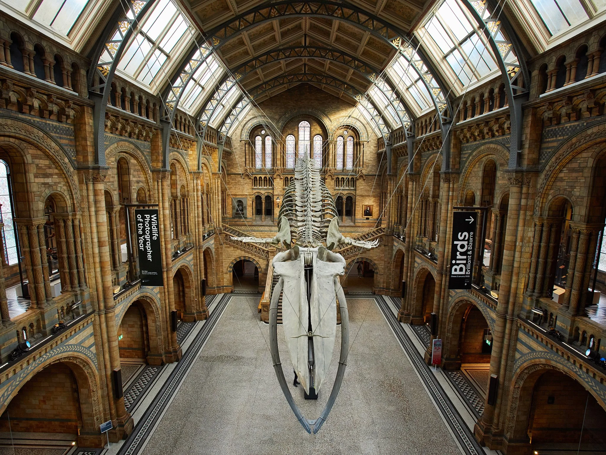 Natural History Museum, London