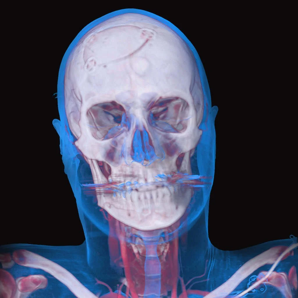 anatomy-1024x1024.jpg
