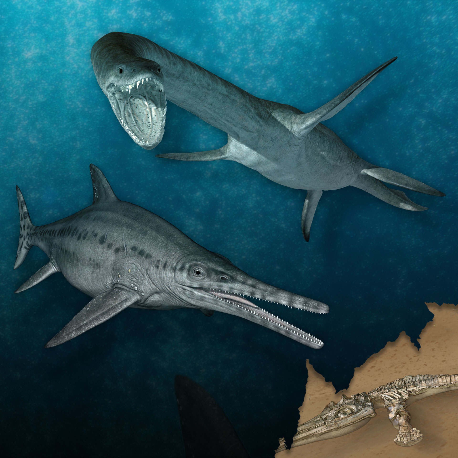 Dig Deeper – Monstrous Creatures of The Sea