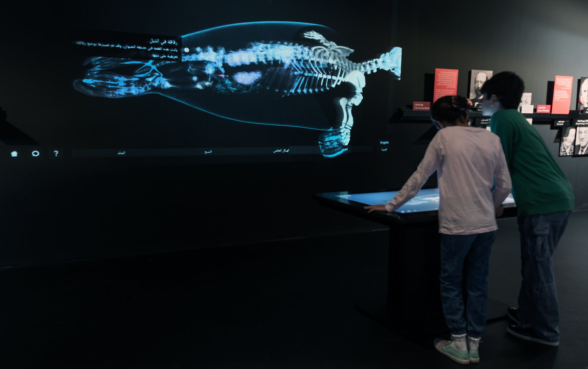 Two children, one boy and one girl, looking at a digital exhibit displaying a glowing blue and white 3D rendering of a fish with visible bones and internal structure in a museum.