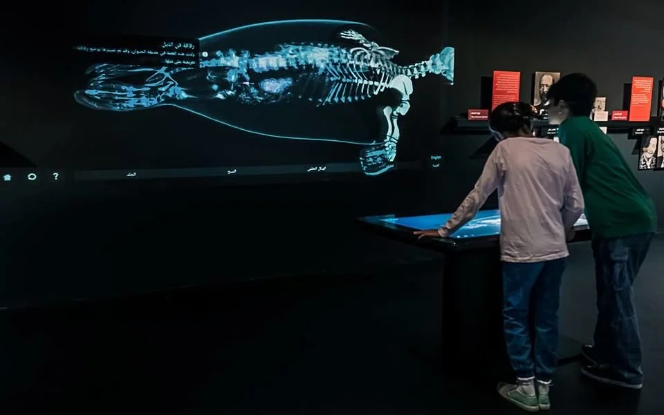 Nobel Museum, Dubai