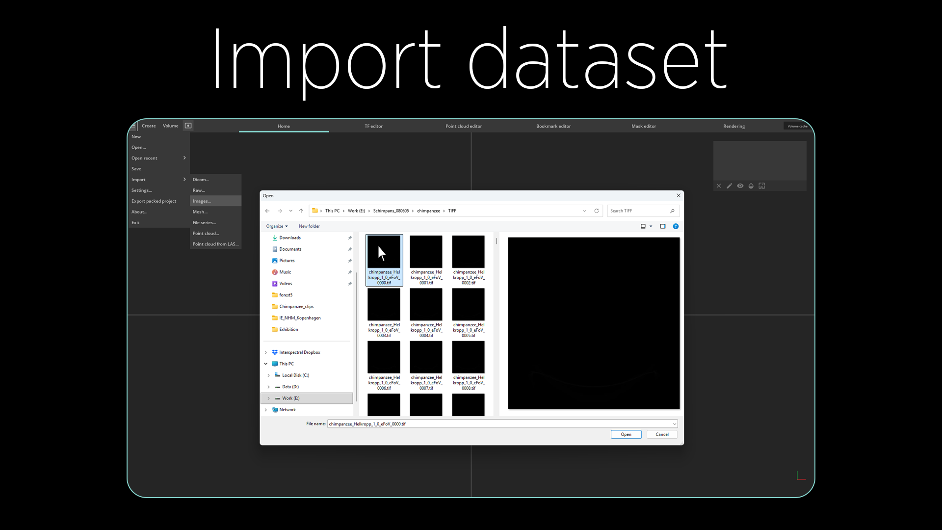 IE_Pro_Howto_Import_dataset.png