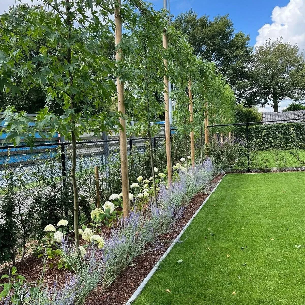 Een tuin met een grasveld, een rand met planten en bloemen, bomen en een metalen hek op de achtergrond onder een gedeeltelijk bewolkte blauwe lucht.