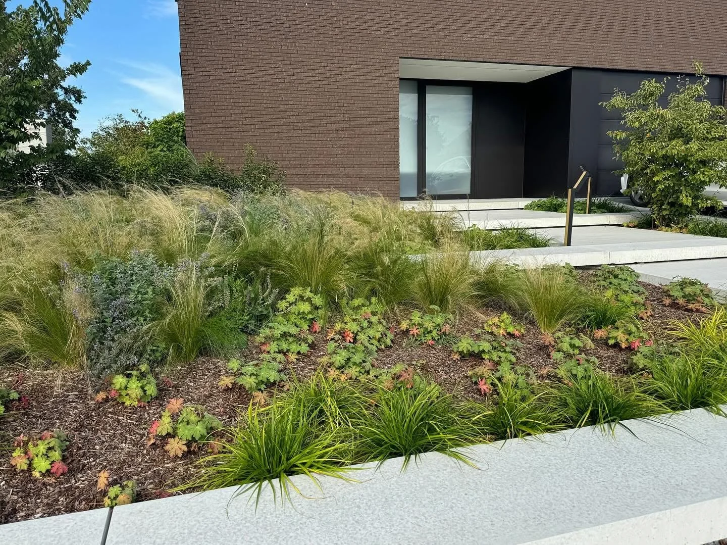 Landschapsbeeld met groenblijvende planten en grassen voor een modern gebouw.