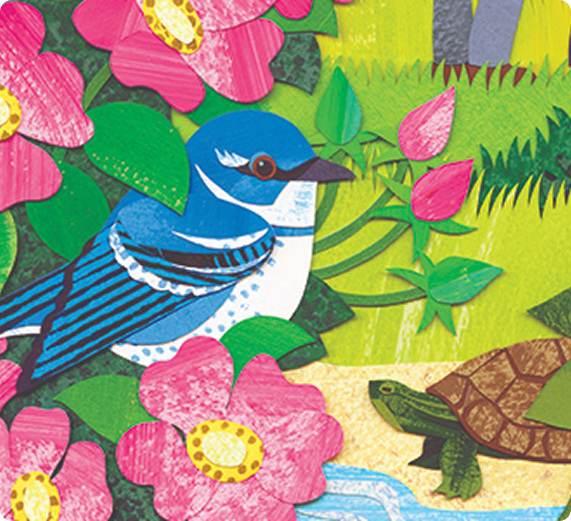 Colorful illustration of a blue and white bird surrounded by pink flowers and green foliage, with a small turtle nearby.