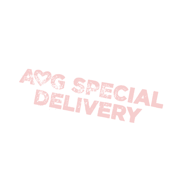 Black background with red text that says "OMG Special Delivery" diagonally.