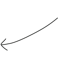 A simple black outline of a feather.