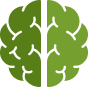 Illustration of a brain