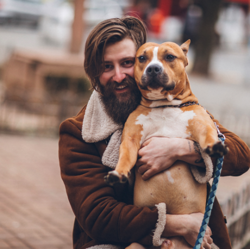 Friends of Indy Animals Annual Giving