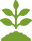 A close-up of a broccoli floret showing detailed green buds and stalk.