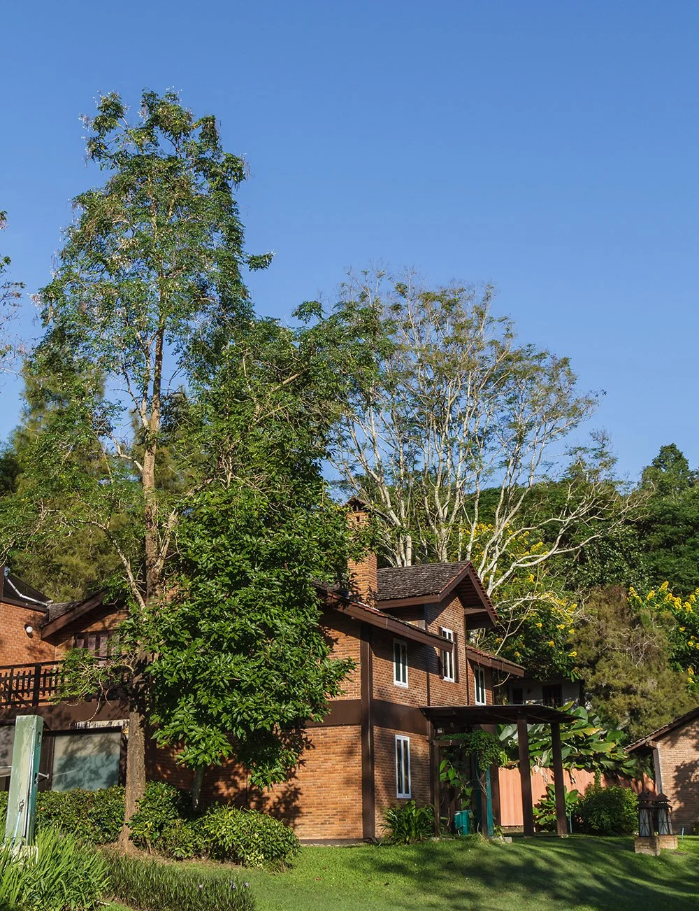 A brick house with a brown roof, surrounded by lush green trees and a well-maintained grassy yard, under a clear blue sky.