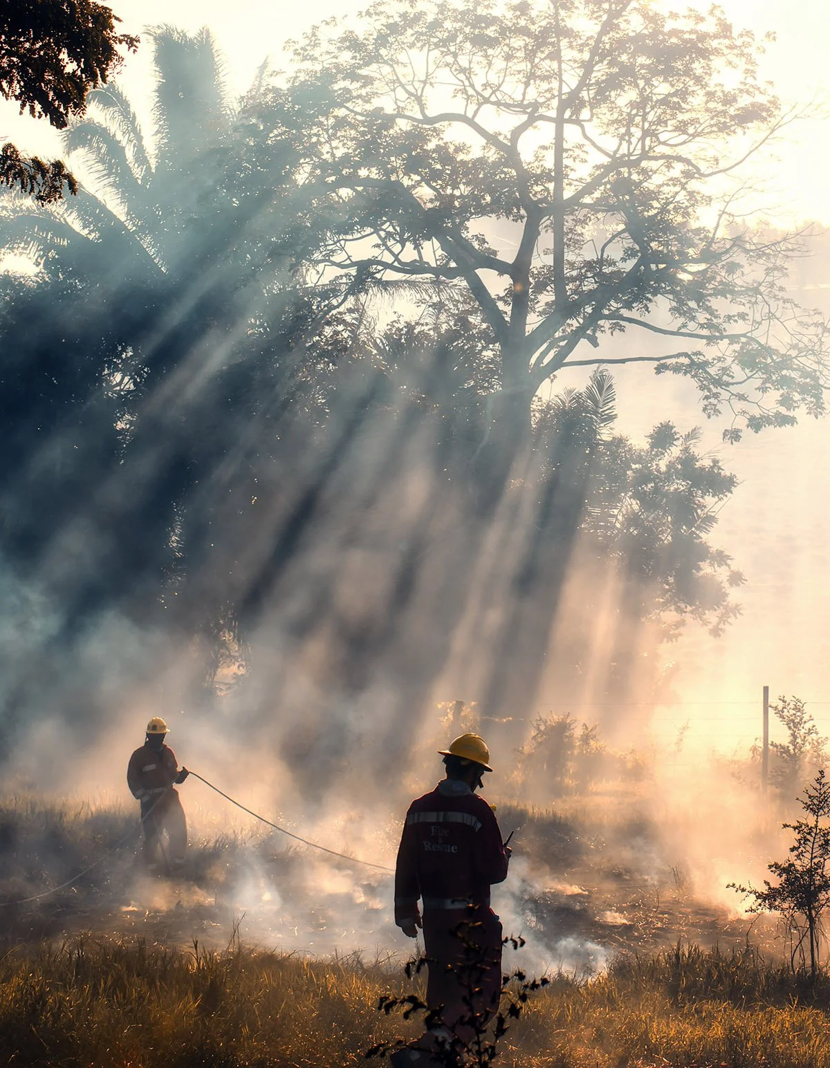 Firefighters extinguishing a grass fire in a field with smoke and sun rays filtering through trees in the background.