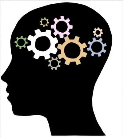 Focus Forward Therapy Group