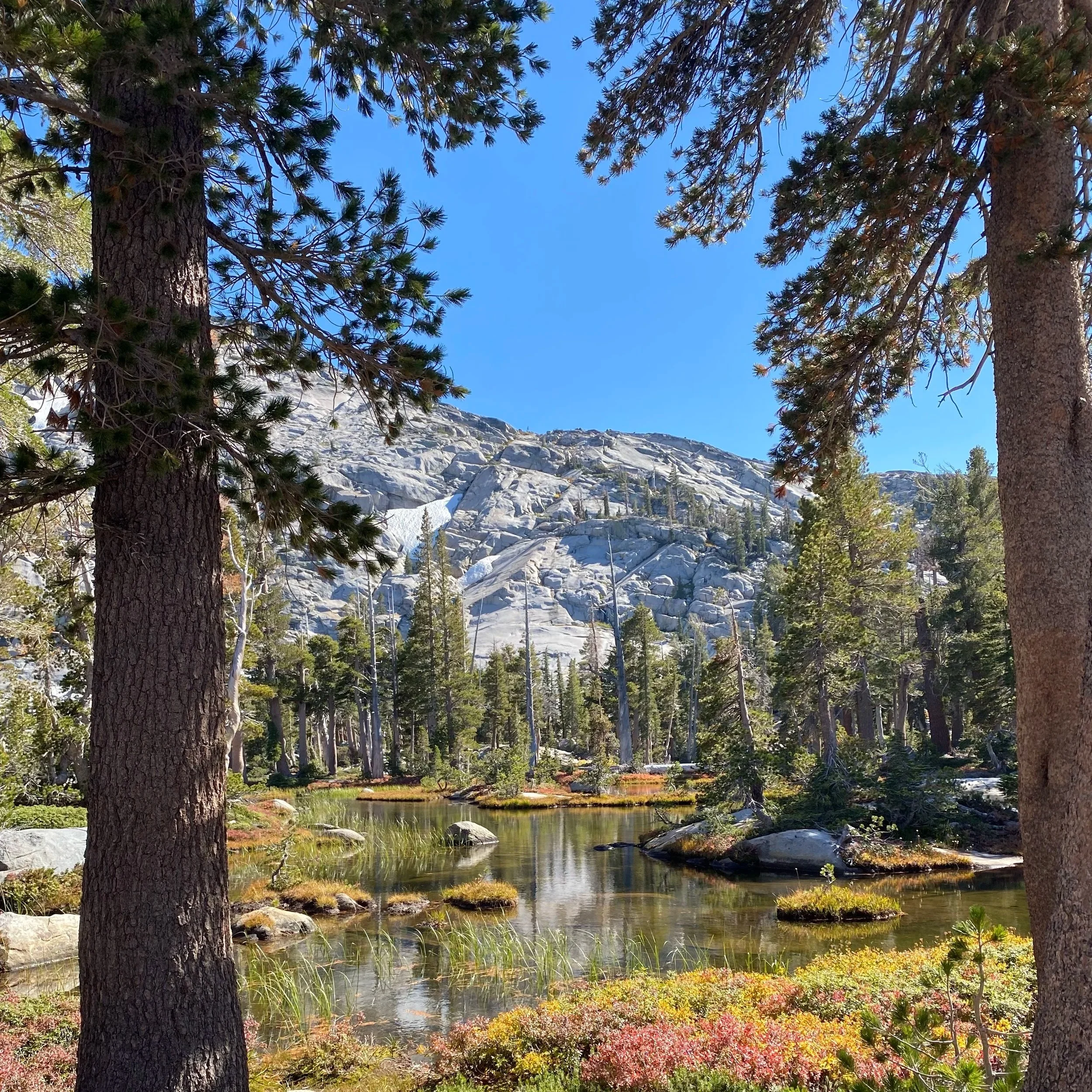 A mountain landscape scene with tall pine trees in the foreground, a small pond with rocks and grass, and a large granite mountain under a clear blue sky.