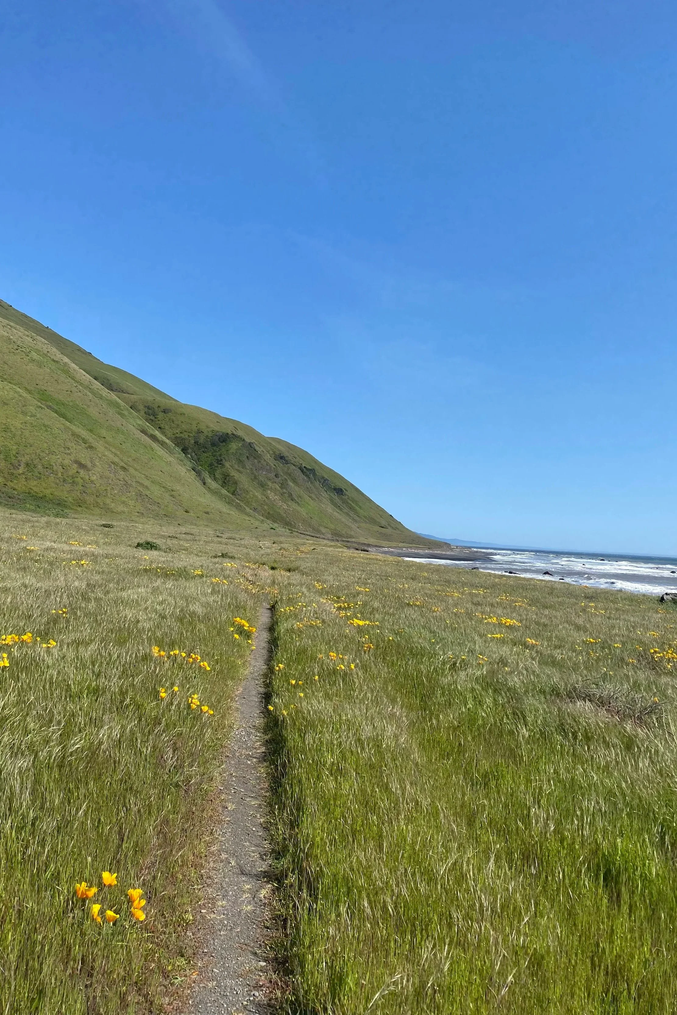 A grassy trail runs through a field towards the beach, with green hills on the left and the ocean on the right, under a partly cloudy blue sky.