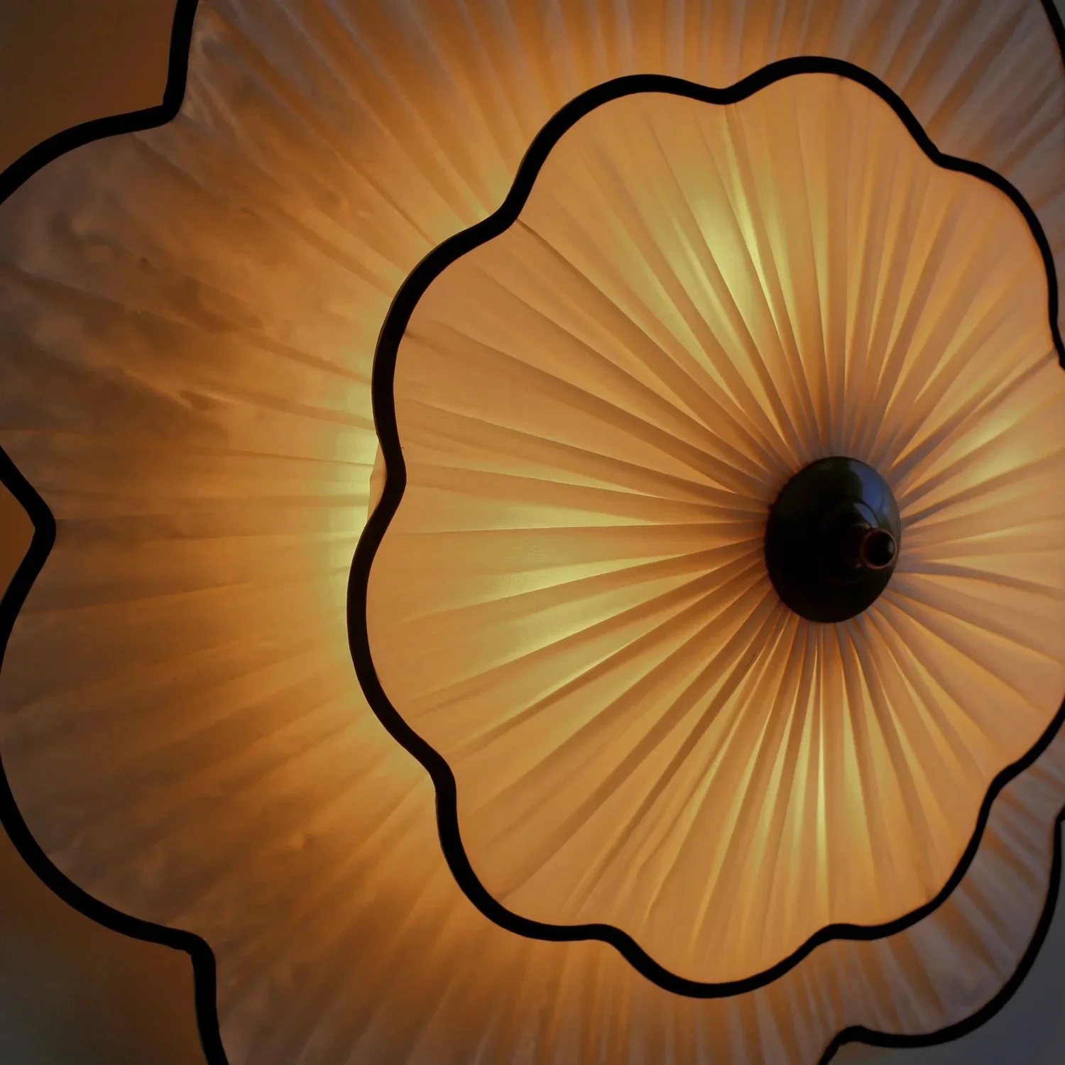 Flora3.webp