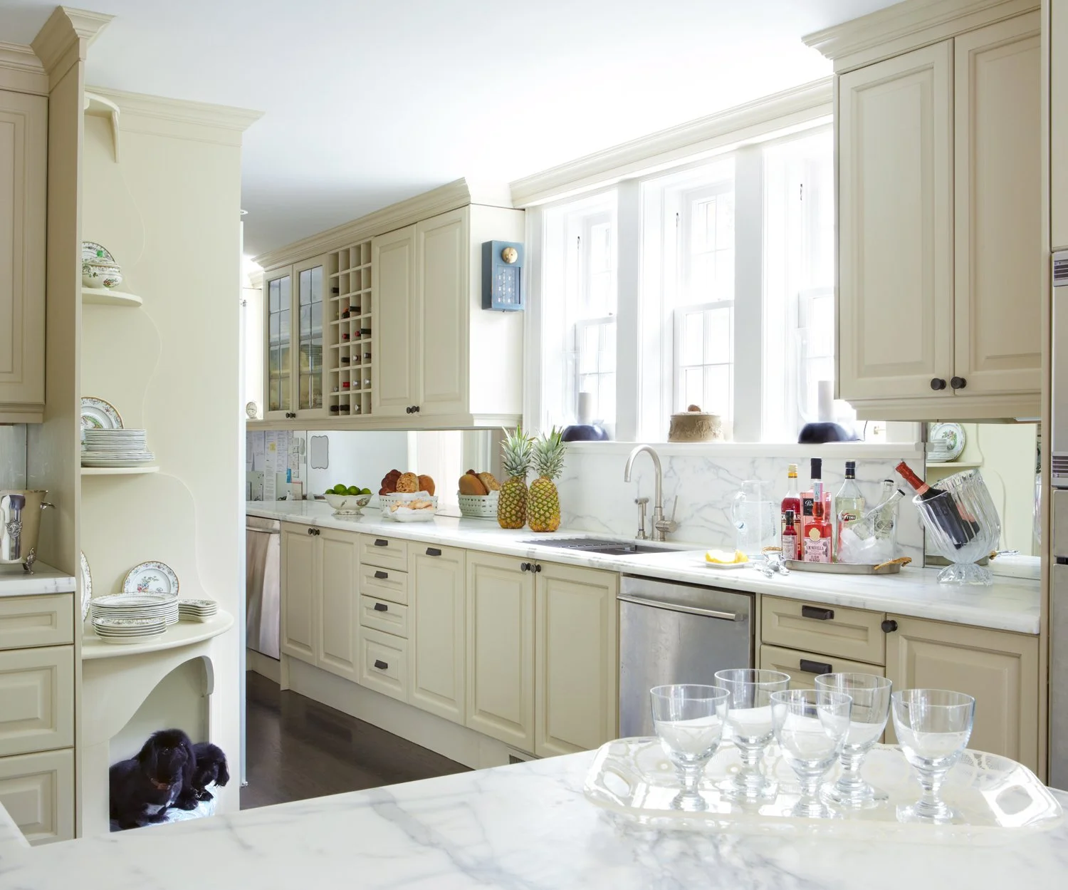 ColetteToronto 3646wDogs.jpg