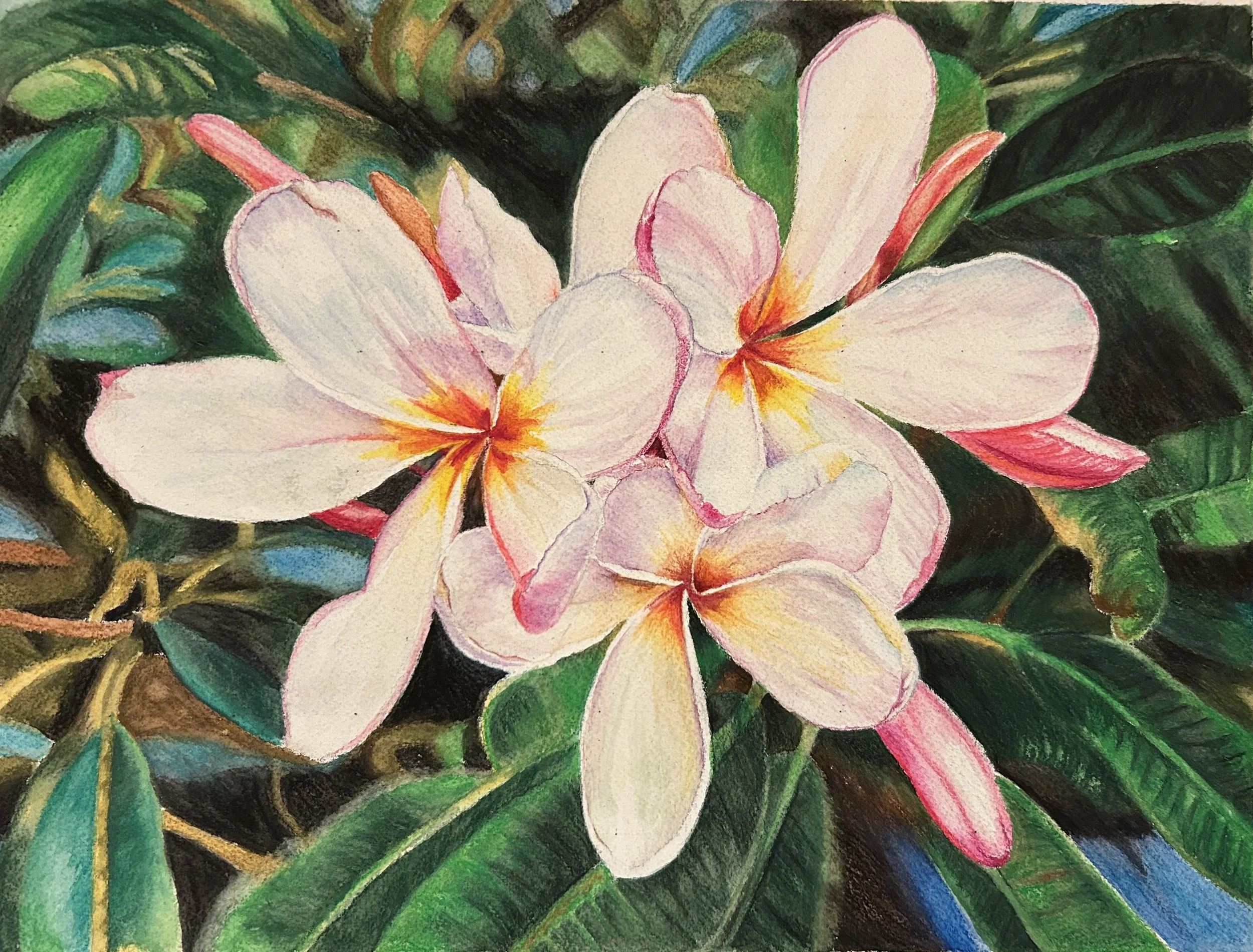 Watercolor Pencils on paper,
10 X 14