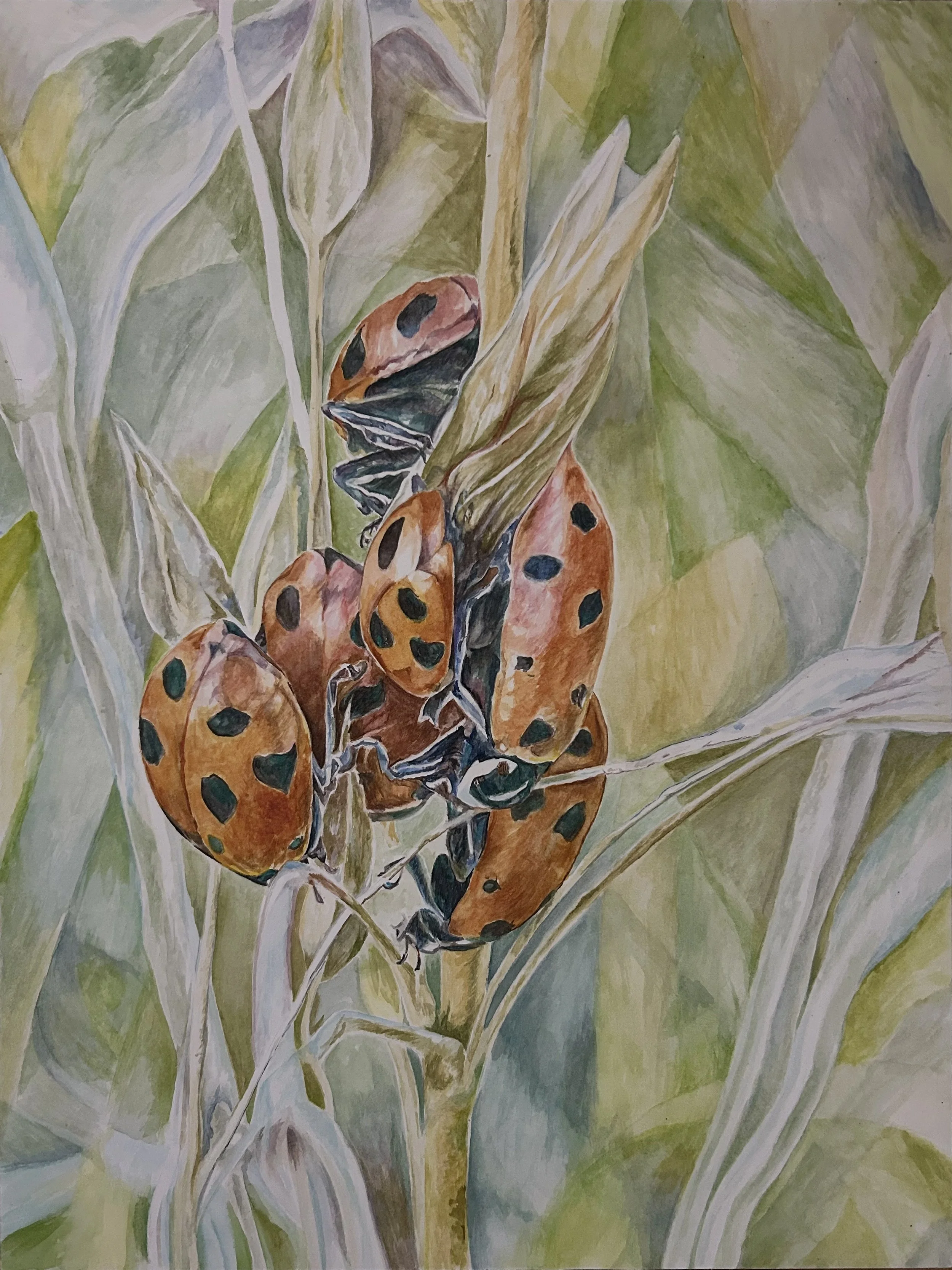 Clustered,
Watercolor on paper,
18 x 24