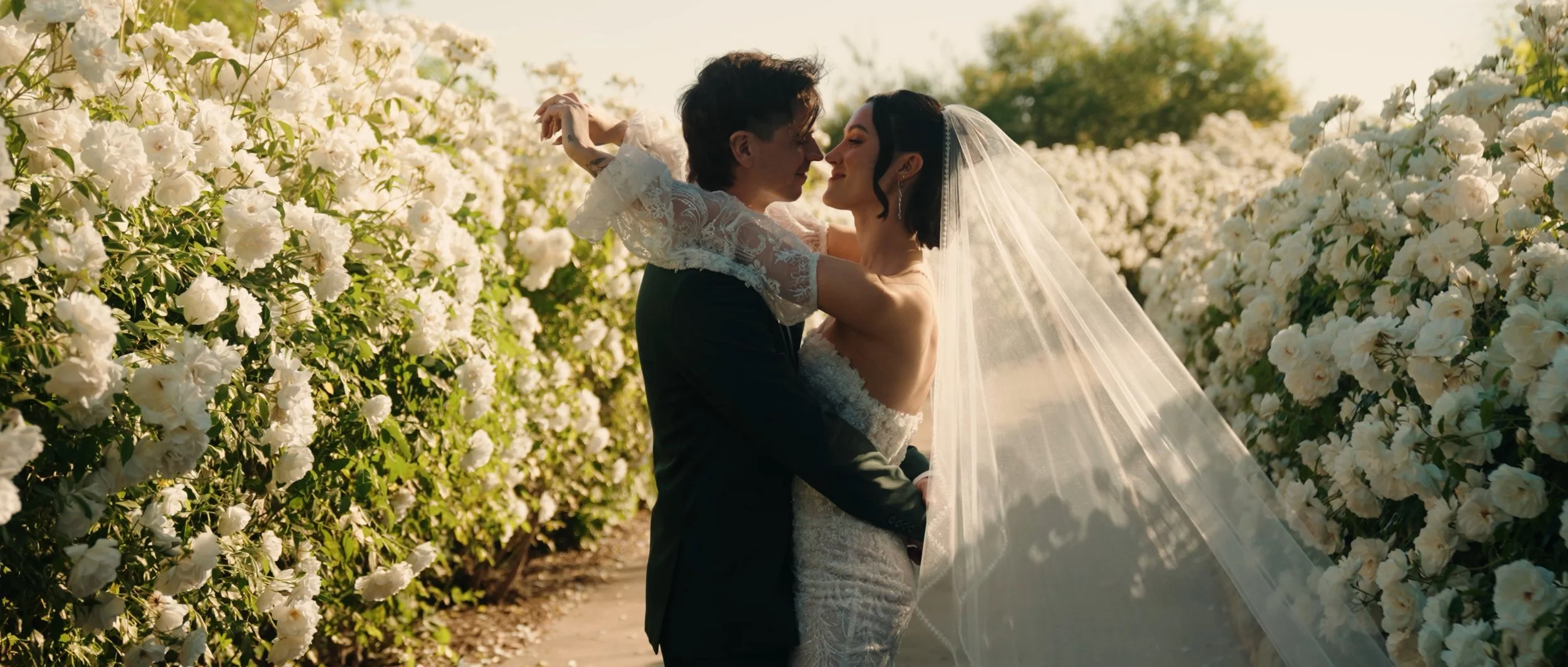 Pasted Graphic 6 2.jpeg