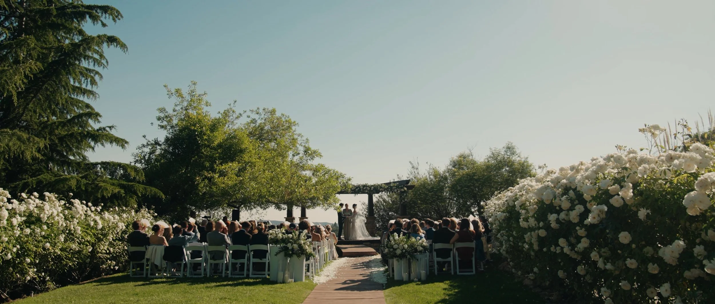 Pasted Graphic 66.jpeg