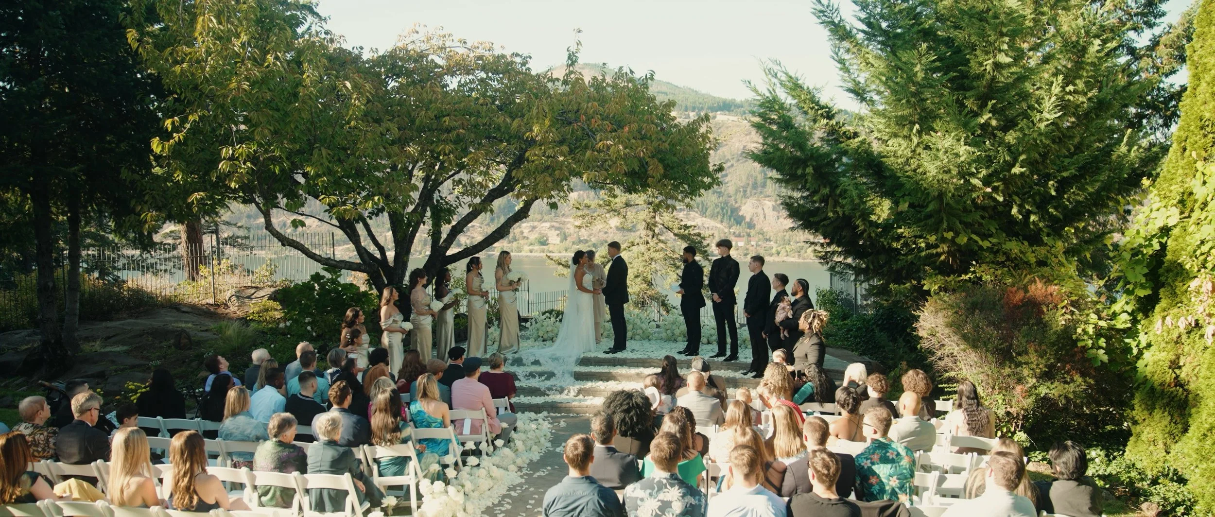 Pasted Graphic 64.jpeg