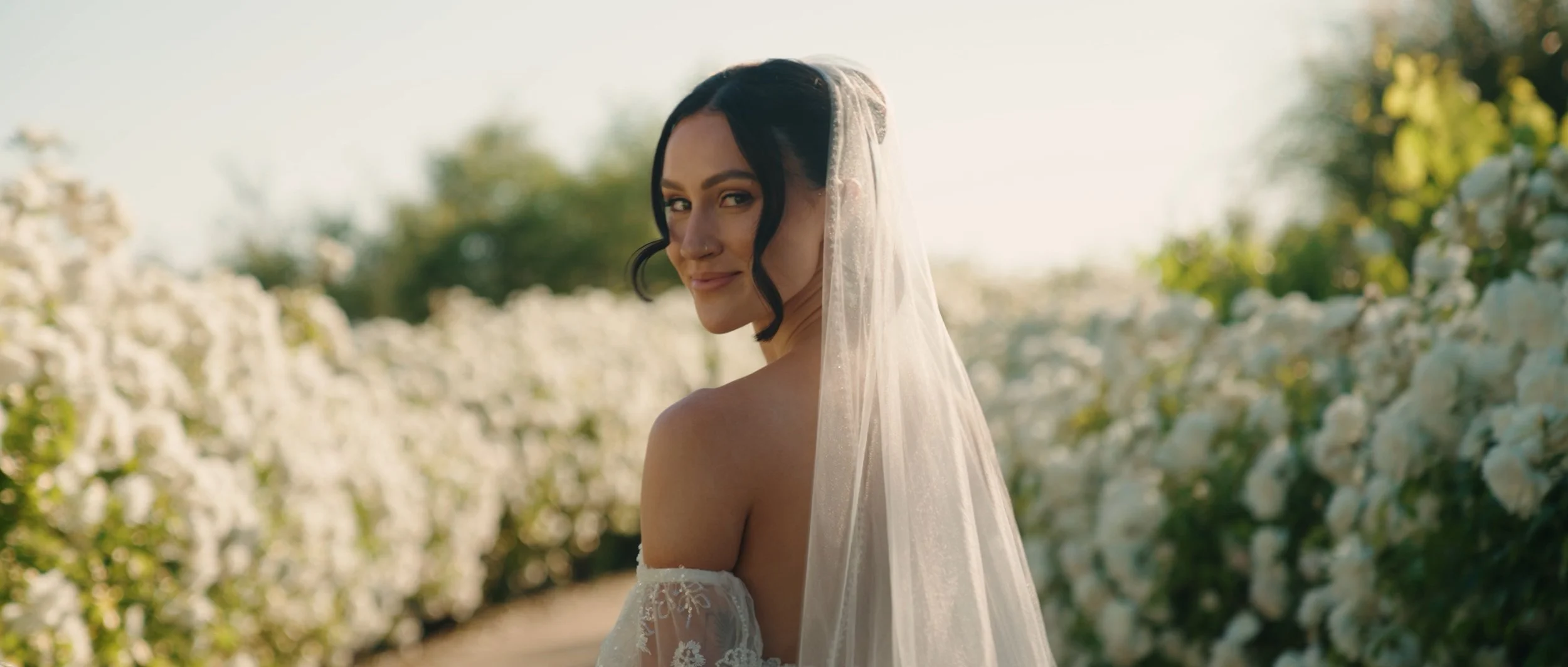 Pasted Graphic 63.jpeg