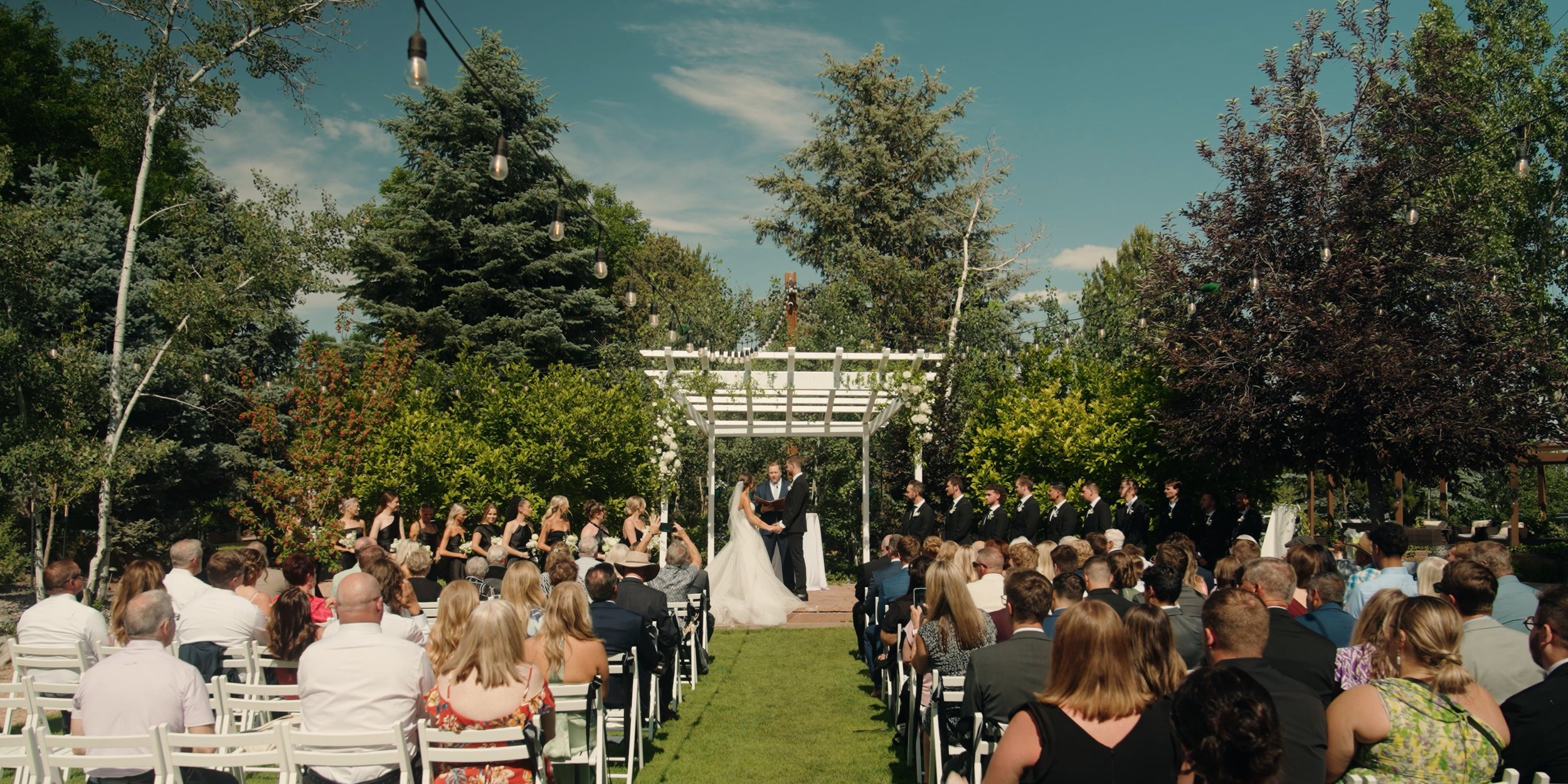 Pasted Graphic 47.jpeg