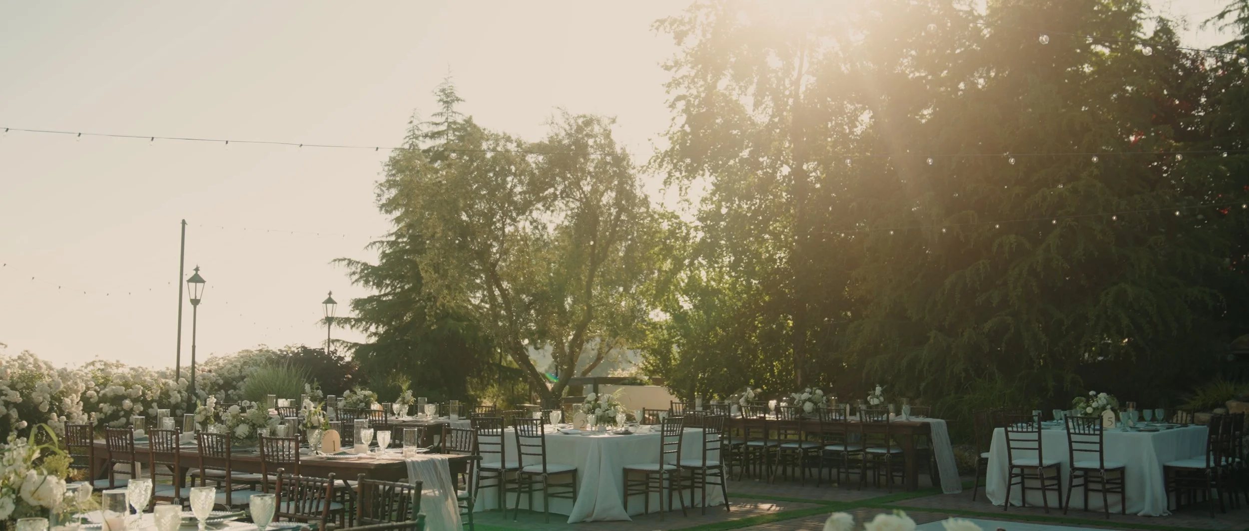 Pasted Graphic 9 2.jpeg