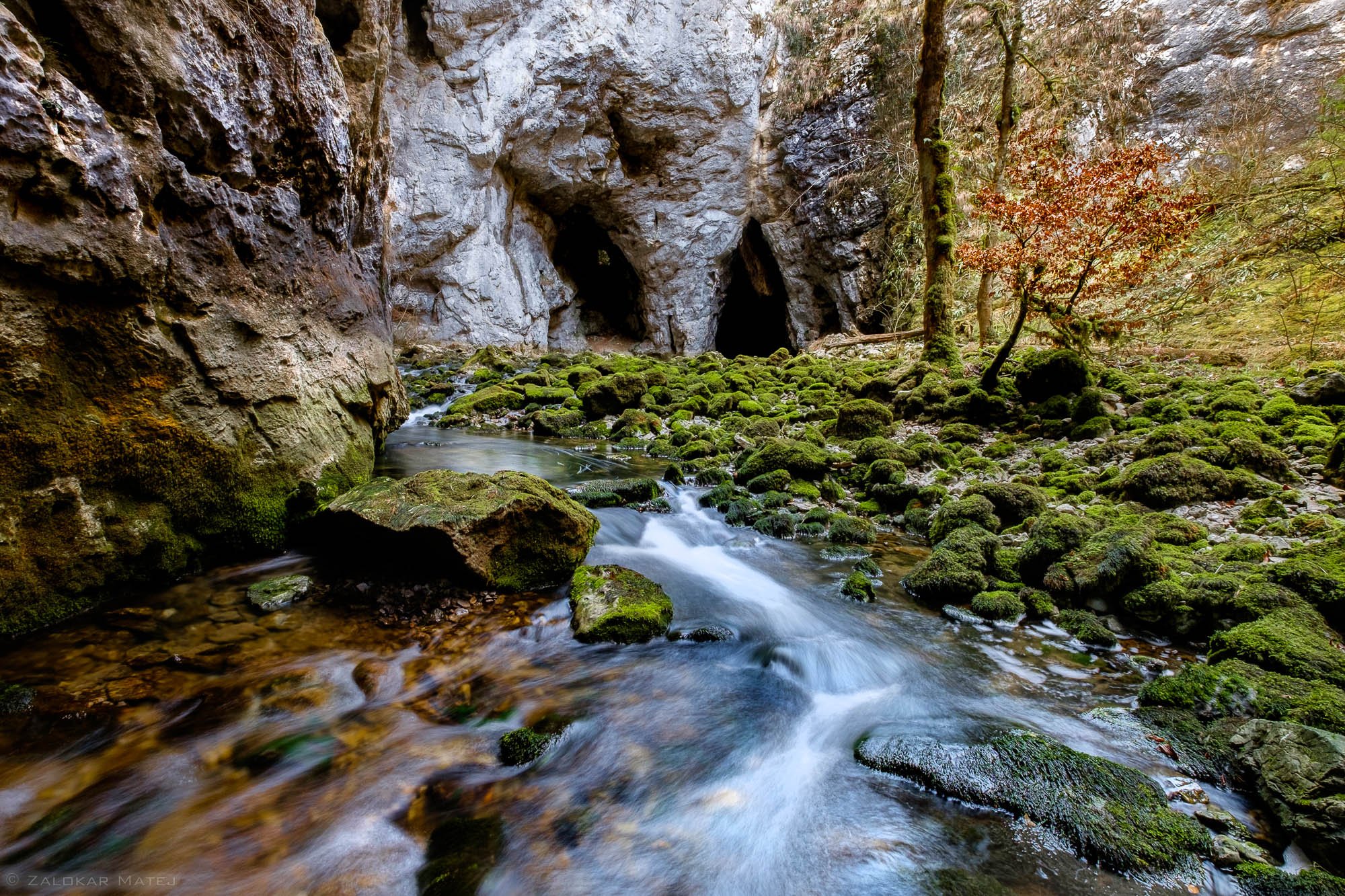 A stream flowing through a rocky, moss-covered landscape with rock formations and trees, some with reddish leaves.