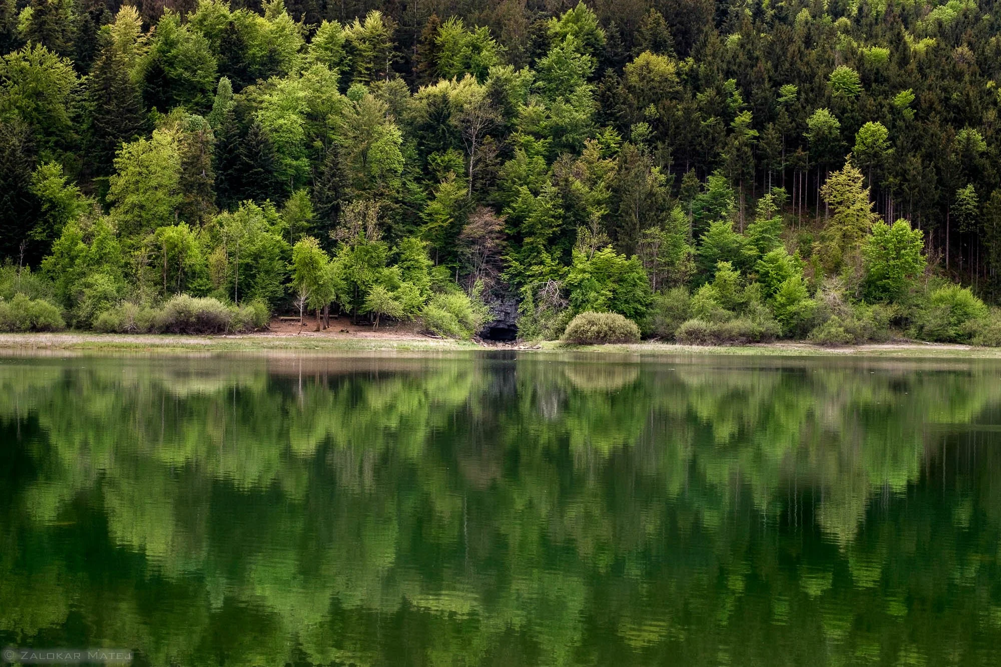 A tranquil lake reflecting the lush green trees and forested hills along its shore, with dense foliage and a small cave or opening in the tree line.
