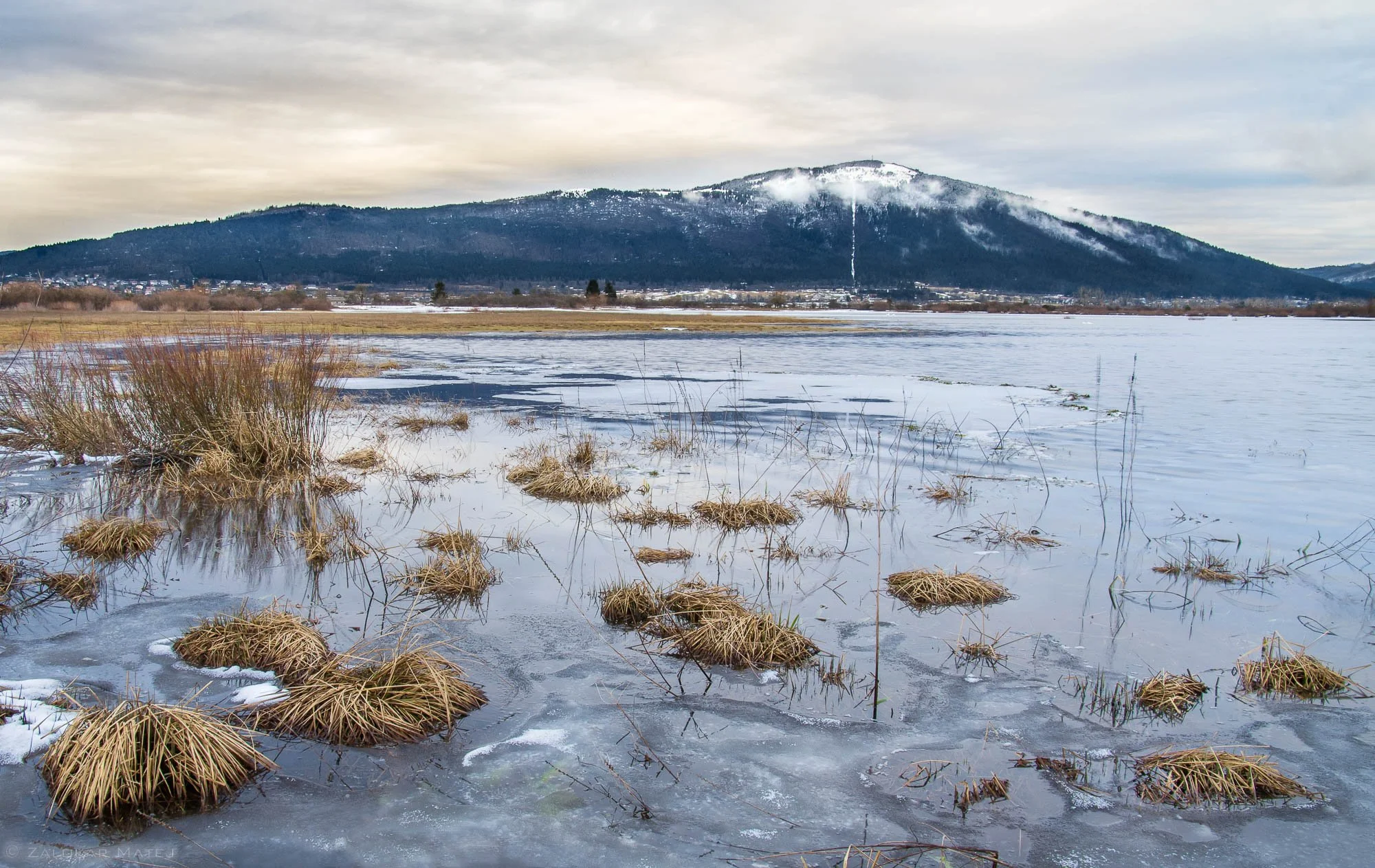 Snow-covered marshland with patches of frozen grass and reeds with mountain in the background and overcast sky