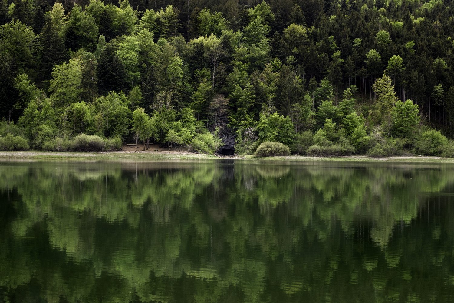 A serene lake with a calm, reflective surface, surrounded by dense green trees and forested hills in the background.
