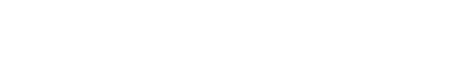 South Carolina Charter Founders Fellowship